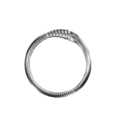 Longinus Ring